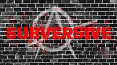 Hoodies and Sweatshirts