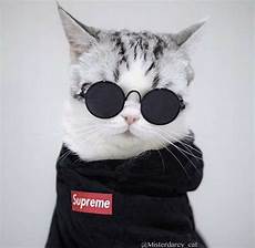 Supreme Hoodie