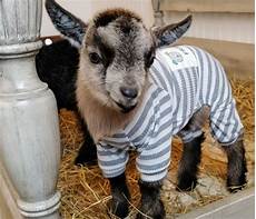 Women's Sweaters